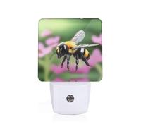 Phayah A Little Bee Pattern Night Light Lamp with Dusk to Dawn Sensor Led Lamp for Corridors Bedrooms Children's Rooms Stairs