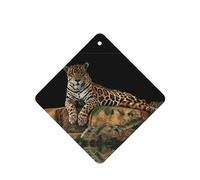 Phayah African Leopard On Rock Pattern Lavender Scent Car Air Freshener Square Card Hanging Hanging Scented Card 4 Pcs For Cars Closet Shoe