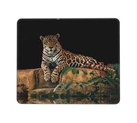 Phayah African Leopard On Rock Pattern Mouse Pad with Non Slip Rubber Base Gaming with Stitched Edge, Mousepad for Laptop, Computer, Office 7 X 8.6 in