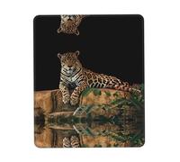 Phayah African Leopard On Rock Pattern Mouse Pad with Non Slip Rubber Base Gaming with Stitched Edge, Mousepad for Laptop, Computer, Office 7.9 X 9.5 in