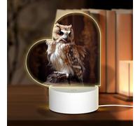PHAYAH Angry Owl Pattern Night Light Heart Shape Led Ligh Base with USB Cable Adjustable 3 Colors for Adults Child Room Bedroom