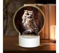 PHAYAH Angry Owl Pattern Night Light Round Led Ligh Base with USB Cable Adjustable 3 Colors for Adults Child Room Bedroom