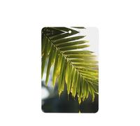 Phayah Bamboo Leaf Pattern Lavender Scent Car Air Freshener Rectangle Card Hanging Hanging Scented Card 6 Pcs For Cars Closet Drawer