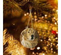 Phayah Beautiful Golden Retriever Pattern Ceramic Ornament Christmas Holidays Round Shaped Porcelain Christmas Tree Hanging