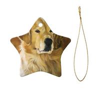 Phayah Beautiful Golden Retriever Pattern Ceramic Ornament Christmas Holidays Star Shape Shaped Porcelain Christmas Tree Hanging