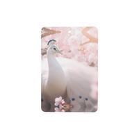 Phayah Beautiful White Peacock Pattern Lavender Scent Car Air Freshener Rectangle Card Hanging Hanging Scented Card 6 Pcs For Cars Closet Drawer