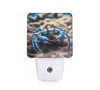 Phayah Big Sea Blue Crab Pattern Night Light Lamp with Dusk to Dawn Sensor Led Lamp for Corridors Bedrooms Children's Rooms Stairs