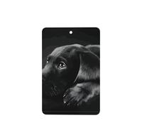Phayah Black Labrador Puppy Pattern Lavender Scent Car Air Freshener Rectangle Card Hanging Hanging Scented Card 6 Pcs For Cars Closet Drawer Eliminate