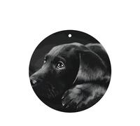 Phayah Black Labrador Puppy Pattern Lavender Scent Car Air Freshener Round Shape Card Hanging Hanging Scented Card 6 Pcs For Cars Closet Drawer Eliminate
