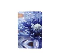 Phayah Blue Anemone Flower Pattern Lavender Scent Car Air Freshener Rectangle Card Hanging Hanging Scented Card 6 Pcs For Cars Closet Drawer Eliminate