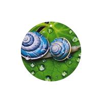Phayah Blue Snail Pattern Lavender Scent Car Air Freshener Round Shape Card Hanging Hanging Scented Card 4 Pcs For Cars Closet Drawer