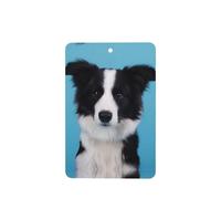 Phayah Border Collie Pattern Lavender Scent Car Air Freshener Rectangle Card Hanging Hanging Scented Card 6 Pcs For Cars Closet Drawer Eliminate