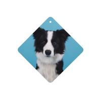 Phayah Border Collie Pattern Lavender Scent Car Air Freshener Square Card Hanging Hanging Scented Card 6 Pcs For Cars Closet Drawer Eliminate