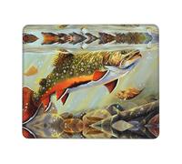 Phayah Brook Trout Fly Fishing Pattern Mouse Pad Waterproof Surface & Non-Slip Rubber Base with Stitched Edges Gaming Mouse Mat for Laptop 10 X 12 Inch