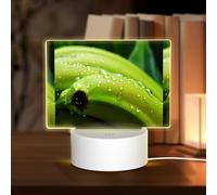 PHAYAH Canna Or Indian Shot Pattern Night Light Rectangle Led Ligh Base with USB Cable Adjustable 3 Colors for Adults Child Room Bedroom