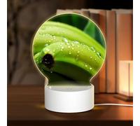 PHAYAH Canna Or Indian Shot Pattern Night Light Round Led Ligh Base with USB Cable Adjustable 3 Colors for Adults Child Room Bedroom