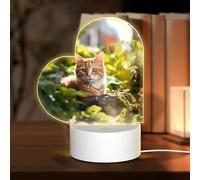 PHAYAH Cat in The Garden Pattern Night Light Heart Shape Led Ligh Base with USB Cable Adjustable 3 Colors for Adults Child Room Bedroom