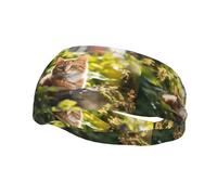 Phayah Cat In The Garden Pattern Sports Headband Moisture Wicking Sweatband For Men Women Running Cycling Yoga Fitness Workout
