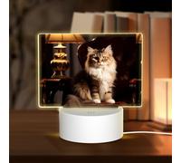 PHAYAH Cat in The Spotlight Pattern Night Light Rectangle Led Ligh Base with USB Cable Adjustable 3 Colors for Adults Child Room Bedroom
