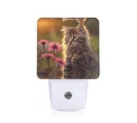 Phayah Cat Touching Flowers Pattern Night Light Lamp with Dusk to Dawn Sensor Led Lamp for Corridors Bedrooms Children's Rooms Stairs