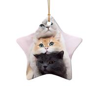 Phayah Cats Pattern Hristmas Ceramic Star Shape Pendant Christmas Tree Ornaments Homefor Gatherings Decoration