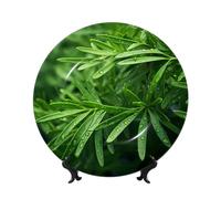 PHAYAH Cedarwood Pattern Bone China Decorative Plate 8in Decorative Plates with Display Stand Round Dinner Plates for Home Office Decor