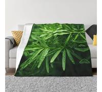 PHAYAH Cedarwood Pattern Flannel Blanket Plush Fluffy 50"X40" For Sofa Bed Couch, Movie Night, Camping, And Trave