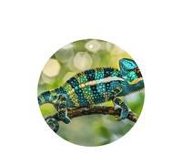 Phayah Chameleon On Branch Pattern Lavender Scent Car Air Freshener Round Shape Card Hanging Hanging Scented Card 6 Pcs For Cars Closet Shoe