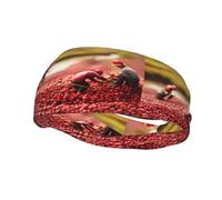 Phayah Cranberry Pattern Sports Headband Moisture Wicking Sweatband For Men Women Running Cycling Yoga Fitness Workout