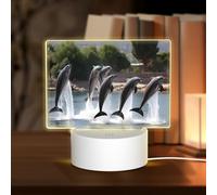 PHAYAH Cute Dolphin Show Pattern Rectangle Acrylic Night Light Adult Baby Room Light White Light Warm Light Warm White Light