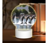 PHAYAH Cute Dolphin Show Pattern Round Acrylic Night Light Adult Baby Room Light White Light Warm Light Warm White Light