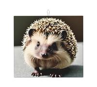 Phayah Cute Hedgehog Pattern Drying Mats for Kitchen Counter 16Ã-18 in Microfiber Drying Mat Kitchen Accessories Dish Rack Drainer Pad