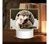 PHAYAH Cute Hedgehog Pattern Rectangle Acrylic Night Light Adult Baby Room Light White Light Warm Light Warm White Light
