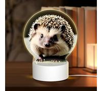 PHAYAH Cute Hedgehog Pattern Round Acrylic Night Light Adult Baby Room Light White Light Warm Light Warm White Light