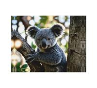 PHAYAH Cute Koala Throw Blanket 60" X 50" Fluffy Large Big Blanket Flannel Blankets For Sofa Couch Bed
