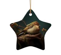 Phayah Cute Little Perching Bird Pattern Christmas Tree Decoration Star Shape Ceramics Ornaments Suitable For New Year Home For Gatherings