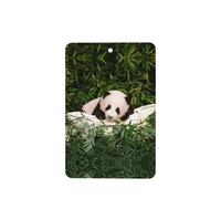 Phayah Cute Panda Pattern Lavender Scent Car Air Freshener Rectangle Card Hanging Hanging Scented Card 6 Pcs For Cars Closet Shoe