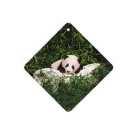 Phayah Cute Panda Pattern Lavender Scent Car Air Freshener Square Card Hanging Hanging Scented Card 6 Pcs For Cars Closet Shoe