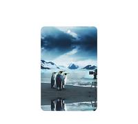 Phayah Cute Penguins Taking Pictures Pattern Lavender Scent Car Air Freshener Rectangle Card Hanging Hanging Scented Card 4 Pcs For Cars Closet Drawer Eliminate