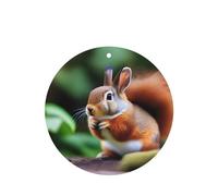 Phayah Cute Squirrel Pattern Lavender Scent Car Aroma Round Shape Hanging Fragrance Tablet Car Interior Fragrance Freshener 6p
