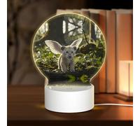 PHAYAH Cute Winged Lion Pattern Round Acrylic Night Light Adult Baby Room Light White Light Warm Light Warm White Light