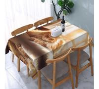 PHAYAH Dazed Kitty Pattern Rectangle Tablecloth 54 X 72 in Party Table Cover with for Restaurant, Picnic, Buffet Indoor Outdoor Dining