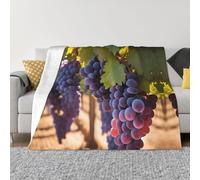 PHAYAH Desert Grapes Pattern Ultra-Soft Micro Blanket Flannel Blankets For Couch Sofa Bed Living Room Office Lunch Break 40"X30"