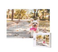 Phayah Dog Running Toward You Puzzles For Adults 300 Pieces For Home Decor Children'S Intelligence Development Toys 15.7 X 11"