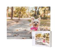 Phayah Dog Running Toward You Puzzles for Adults 500 Pieces Children's Intelligence Development Toys 20.4 X 15in