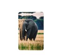 Phayah Elephant In The Grassland Pattern Lavender Scent Car Aroma Rectangle Hanging Fragrance Tablet Car Interior Fragrance Freshener 6p