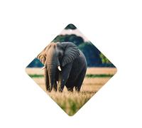 Phayah Elephant In The Grassland Pattern Lavender Scent Car Aroma Square Hanging Fragrance Tablet Car Interior Fragrance Freshener 6p