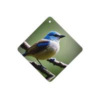 Phayah Ethereal Nightingale Bird Pattern Lavender Scent Car Aroma Square Hanging Fragrance Tablet Car Interior Fragrance Freshener 6p