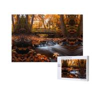 Phayah Fig. Intimate and Understanding Friend Jigsaw Puzzles for Adults 1000 Pieces.Home Decor Birthday Party for Men Women 29.5 X 19.7