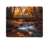 PHAYAH Fig. Intimate and Understanding Friend Pattern Mouse Pads, Portable Wireless Mouse Pad, Non-Slip Rubber Base Laptop Mousepad Smooth Surface for Office & Travel 7 X 8.6 in